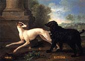 Misse and Luttine